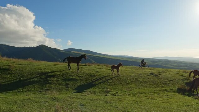 Horses in the mountains. In background unrecognizable Biker riding enduro motocross motorcycle pit bike in beautiful mountains hills.
Motocross Trail Rider in the mountains.