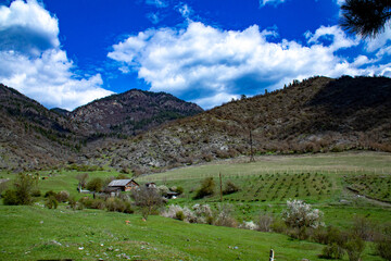 A vibrant and lush green field exists with majestic mountains in the background