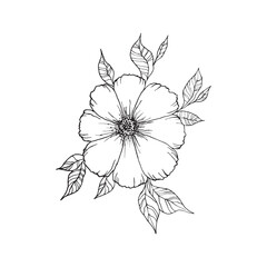 Isolated flower with leaves. Floral hand drawn art ornament. Doodle style. Vector illustration. Simple minimalistic nature element