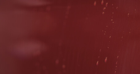 Closeup focus red car wash degreasing paint soak