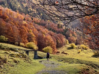 Senderismo en el bosque de otoño del pirineo