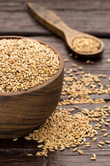 Bird seed food grain - Phalaris canariensis.