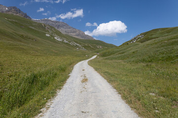 chemin de randonnée vide en altitude dans les Alpes en été