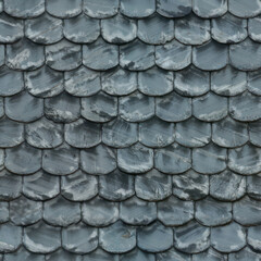 Slate snowy wodden shingle roof tile seamless texture