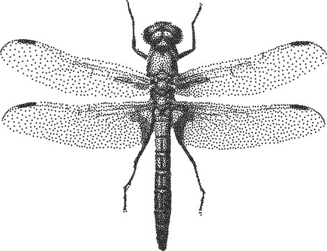 Grunge bitmap halftone stipple engraved effect dragonfly y2k punk collage design element