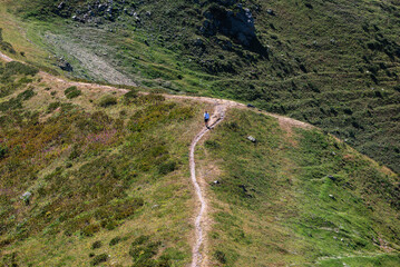 winding road in the mountains