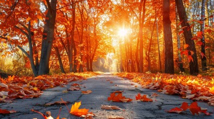 Autumn Path, Sunlight Filtering Through Colorful Trees, and Fallen Leaves on a Peaceful Day