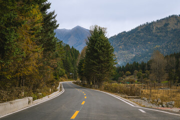Autumn mountain of pine trees in Sichuan at Dagu Glacier National Park