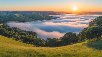 Obraz premium A breathtaking sunrise over rolling hills and a valley filled with mist.
