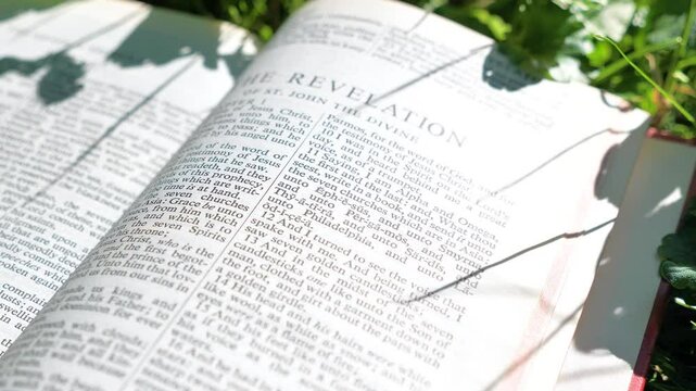 The Revelation of St John the Divine chapter of Holy Bible book