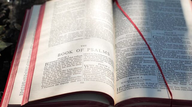 Book of Psalms, chapter of Holy Bible book
