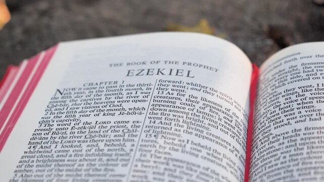 The book of the prophet Ezekiel, chapter of Holy Bible book