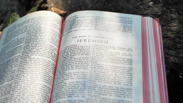 The book of the prophet Jeremiah, chapter of Holy Bible book