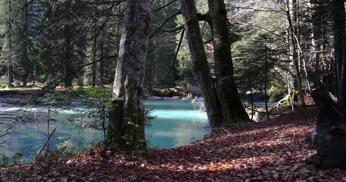  Autumn landscape on the Dolomite lakes of Amola
