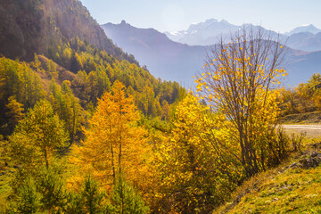 Naklejka premium Landscape of the Swiss Alps in autumn