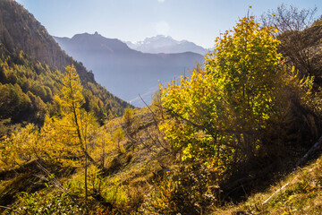 Obraz premium Landscape of the Swiss Alps in autumn