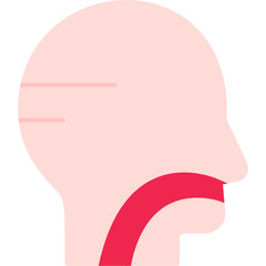 Human Trachea Icon