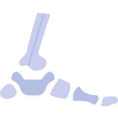 Foot Bones Icon