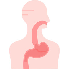 Digestive System Icon