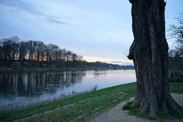 Die Elbe am Abend in Dresden-Pillnitz
