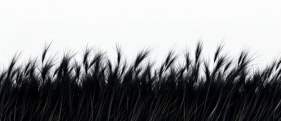 Fototapeta premium A rice plant silhouette, botanical element, 3D render, natural tones, isolated on white background