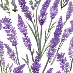 Fototapeta premium Ilustração botânica de lavandas.