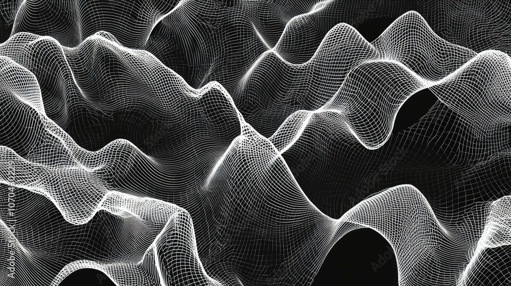 Poster abstract wavy grid pattern with white lines on a black background.