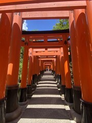 Torii in Japan