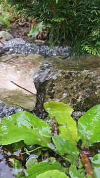 Wasser sprudelt in Zeitlupe &uuml;ber einen Stein