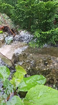 Wasser sprudelt in Zeitlupe &uuml;ber einen Stein