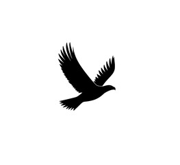 Fototapeta premium Cut and print Golden Eagle Black and White Templates