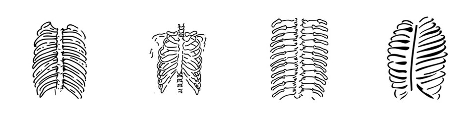 A continuous drawing of human ribs. Human organ concept. Illustration of an anatomy of the chest.