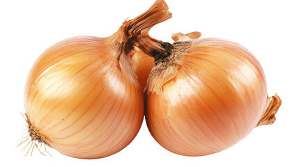 Onion