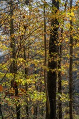 black rock lake, Georgia