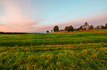 sunset in the field