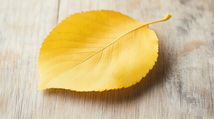 Naklejka premium Vibrant Yellow Leaf on Wooden Surface