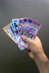 Man Counting Albanian Lek Banknotes. A man holding and counting a stack of Albanian Lek banknotes,...