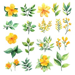 Watercolor Yellow Flowers and Green Leaves Clipart Set.