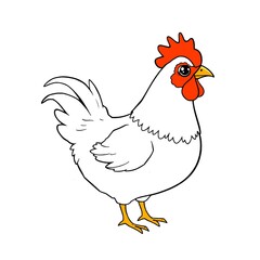 It's a chicken picture, So beautiful picture, And used for general use.