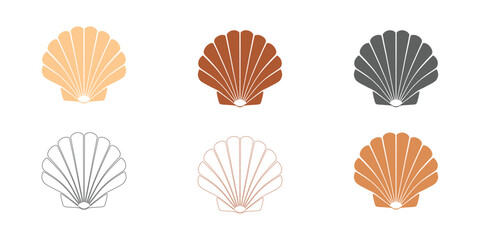 Detailed Sea Shell Vector Illustration with lineart