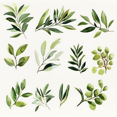 Watercolor Green Leaves Set for Botanical Design.