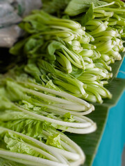 Fresh organic vegetables at local farmers market