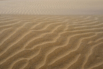 Sand textured pattern with copy space. Abstract background wallpaper. Sand waves in a desert dune