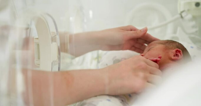 A tender moment of a fragile premature baby in an incubator, emphasizing the importance of neonatal care and love. Newborn in an Incubator Specialized Care for Premature Babies During Their Early Life