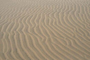Sand textured pattern with copy space. Abstract background wallpaper. Sand waves in a desert dune
