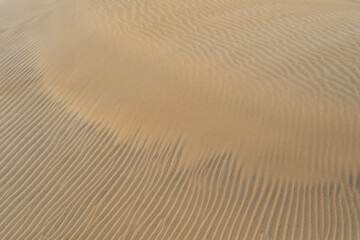 Sand textured pattern with copy space. Abstract background wallpaper. Sand waves in a desert dune