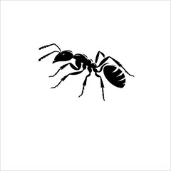  black and white cartoon ant insect 