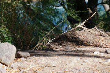 Obraz premium Montañas y lados 