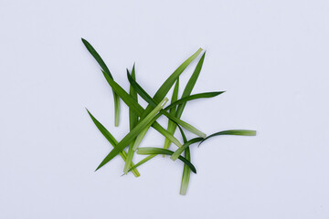 Pandan leaves (Pandanus amaryllifolius). Leaves are natural dyes and alternative ingredients for herbal medicine. Leaf texture. Food fragrance