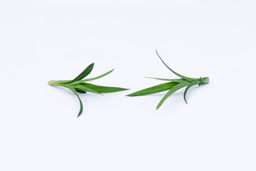 Pandan leaves (Pandanus amaryllifolius). Leaves are natural dyes and alternative ingredients for herbal medicine. Leaf texture. Food fragrance